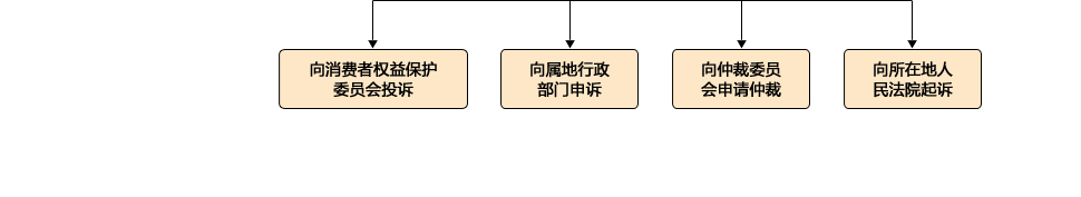 消費(fèi)者投訴流程圖